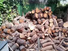 Las Rozas Poda de árboles en altura Tala y poda en altura Las Rozas