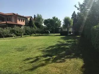 Limpiezas de terrenos